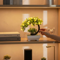 Mini Hilal Gül Bonsai – Ev və Ofis Üçün Estetik DekorasiyabizimHousebizimHouseAçıq mavi - bizimHouse