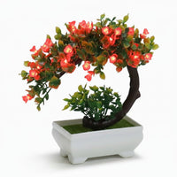 Mini Hilal Gül Bonsai – Ev və Ofis Üçün Estetik DekorasiyabizimHousebizimHouseQırmızı - bizimHouse