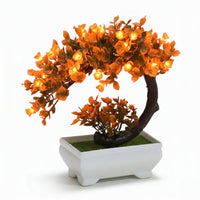 Mini Hilal Gül Bonsai – Ev və Ofis Üçün Estetik DekorasiyabizimHousebizimHouseNarıncı - bizimHouse